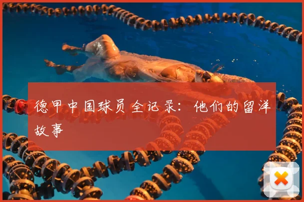 德甲中国球员全记录：他们的留洋故事