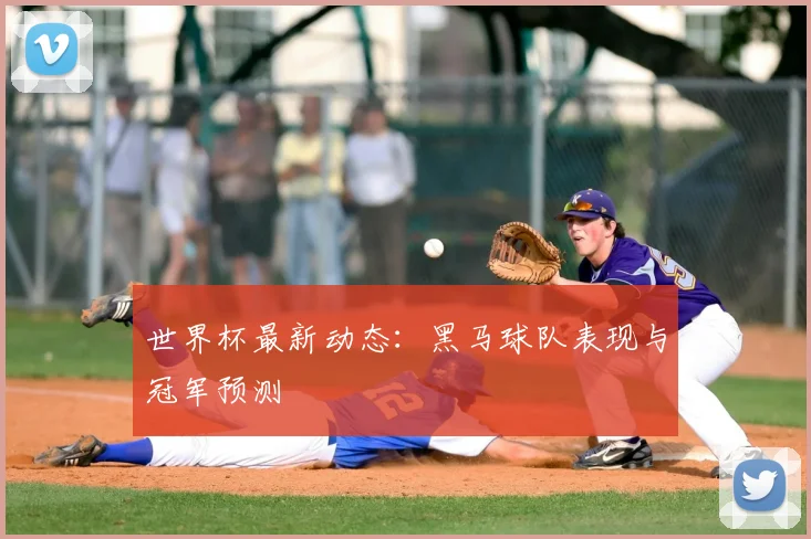 世界杯最新动态：黑马球队表现与冠军预测