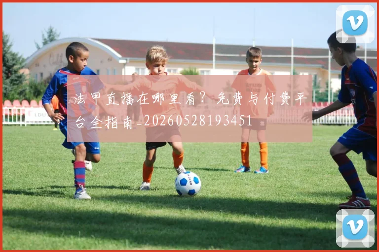 法甲直播在哪里看？免费与付费平台全指南_20260528193451