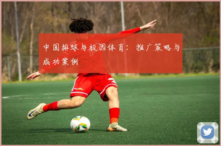中国排球与校园体育：推广策略与成功案例